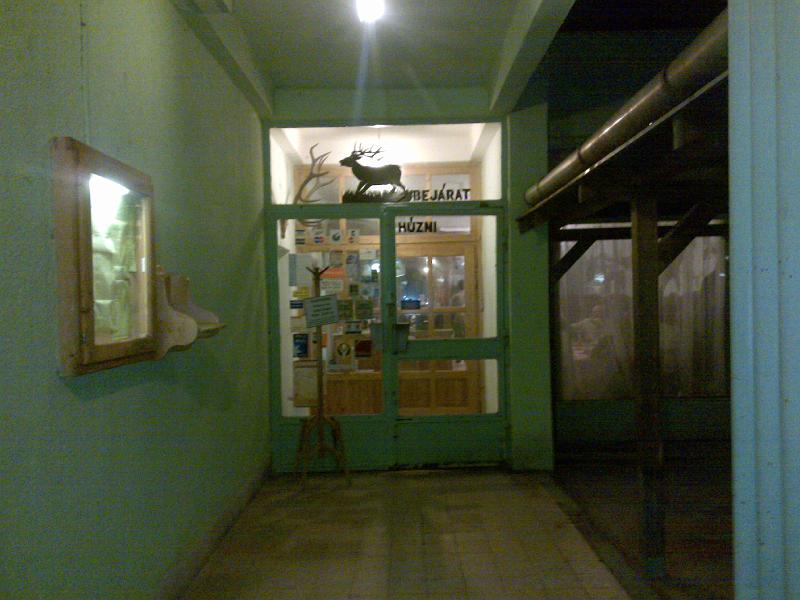 200911286451.jpg