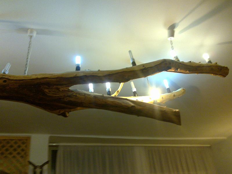 200911286464.jpg