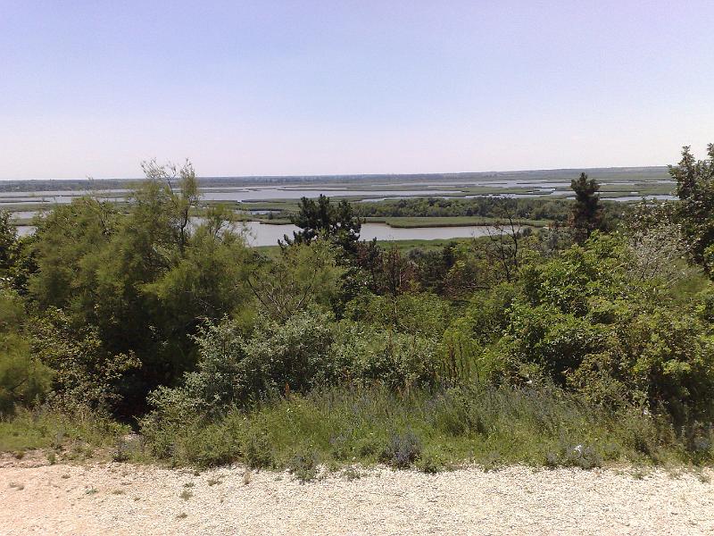 200806281678.jpg