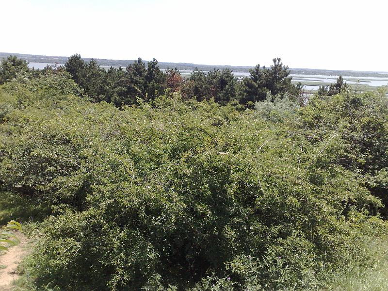 200806281691.jpg
