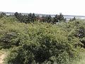 200806281691