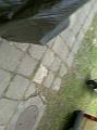200906263093