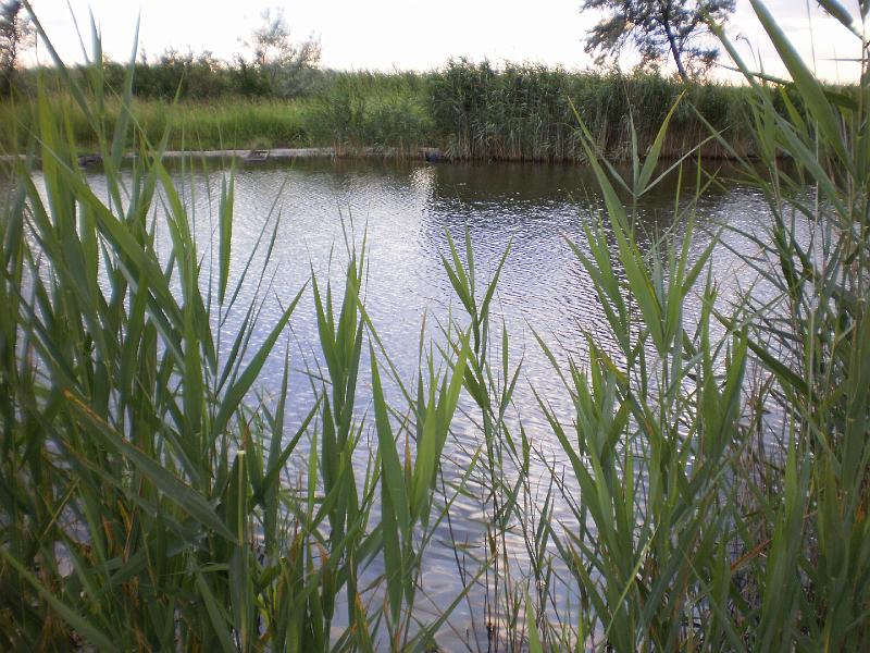 P6240098.JPG