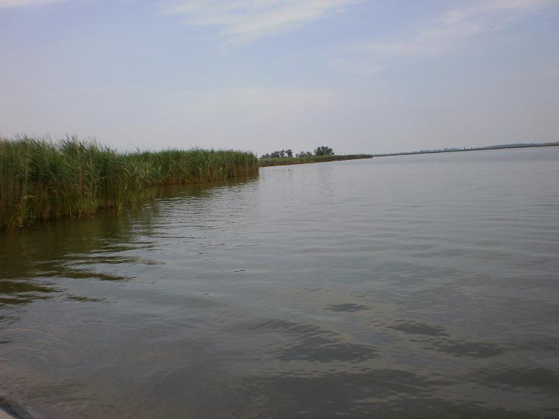 P6270353.JPG