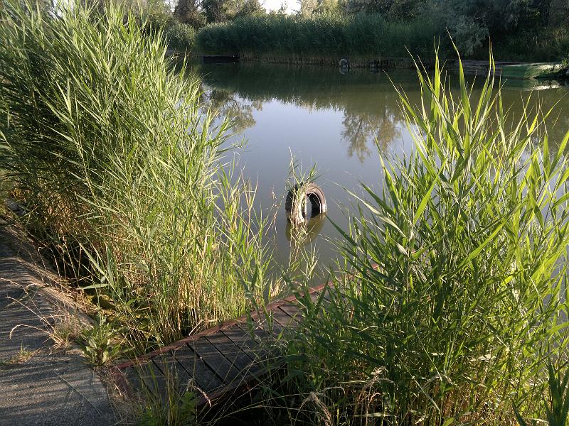 201106231526.jpg