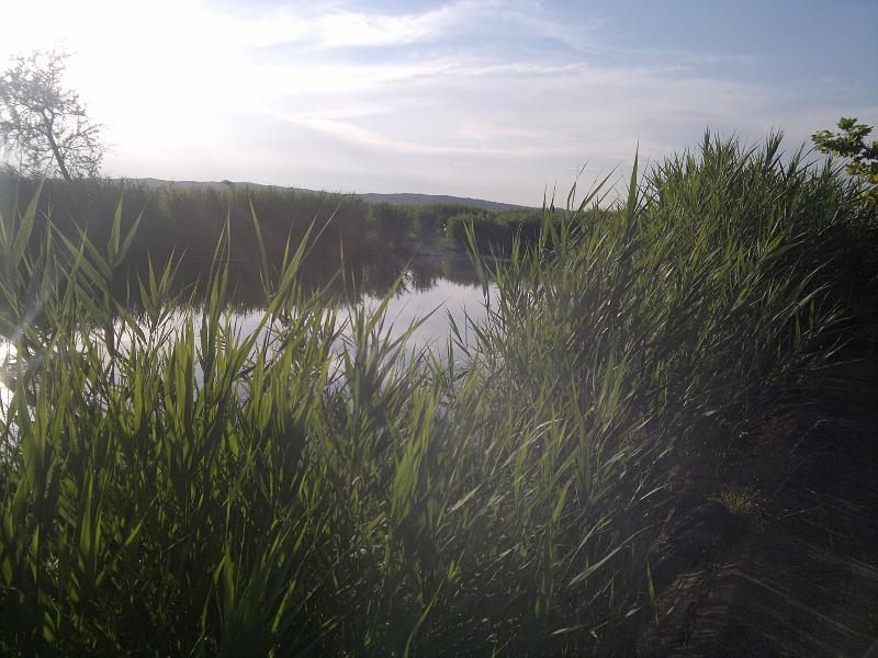 201106231527.jpg