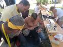201106231488