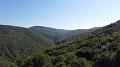 DJI_0442