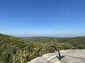 IMG_0205