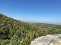 IMG_0206