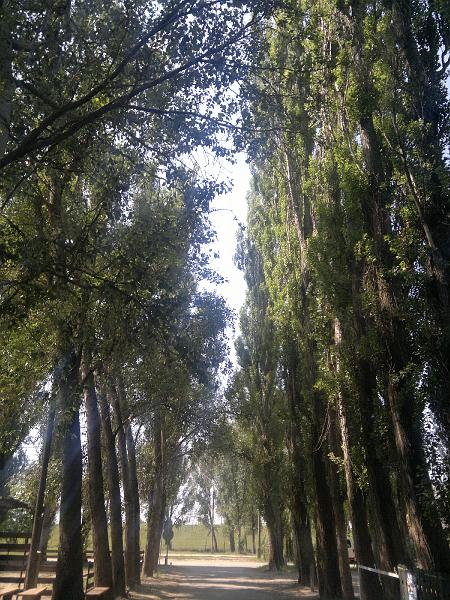 2012-06-29-2326.jpg