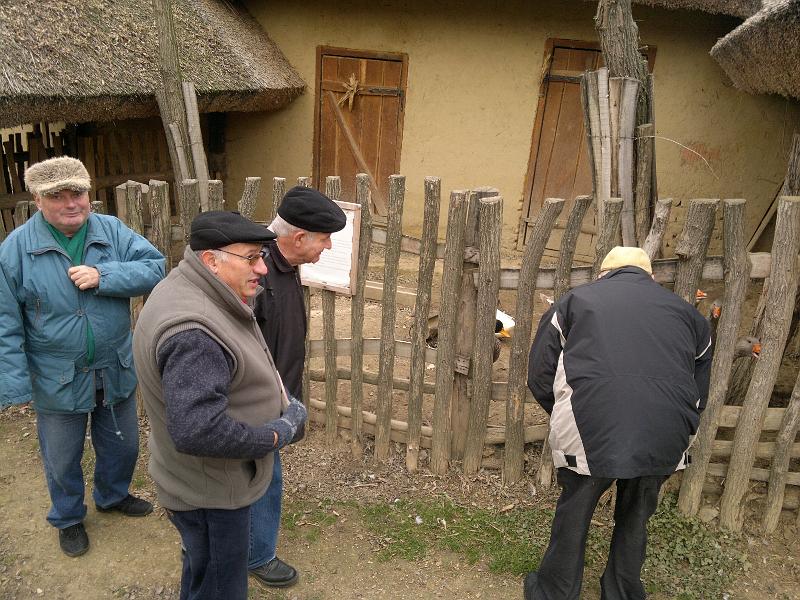 201111263686.jpg