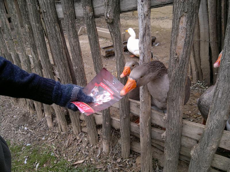 201111263691.jpg