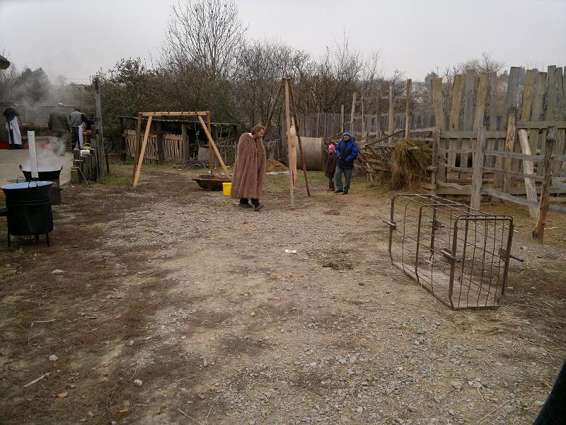 201111263696.jpg