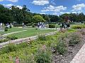 IMG_3451
