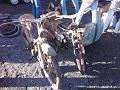 WP_005304