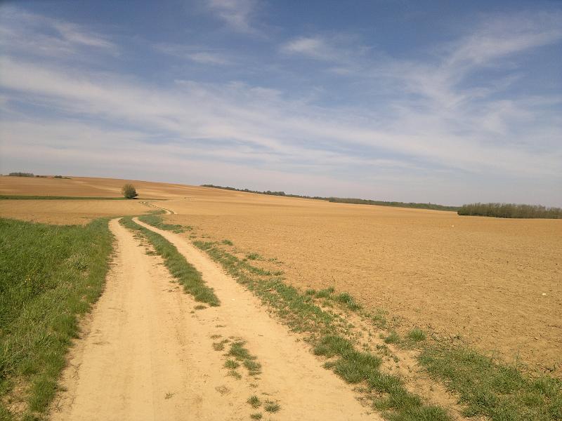 2012-04-29-864.jpg