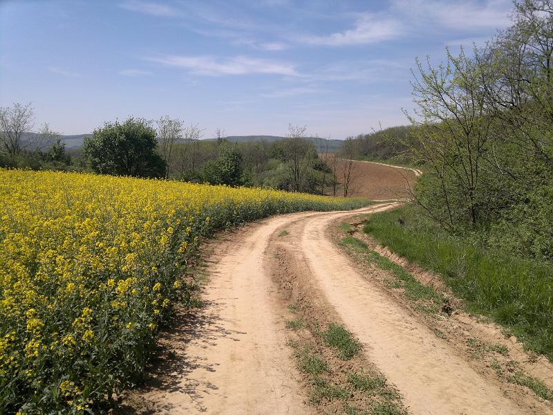 2012-04-29-882.jpg