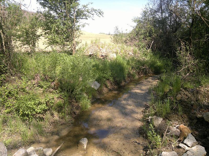 2012-04-29-905.jpg