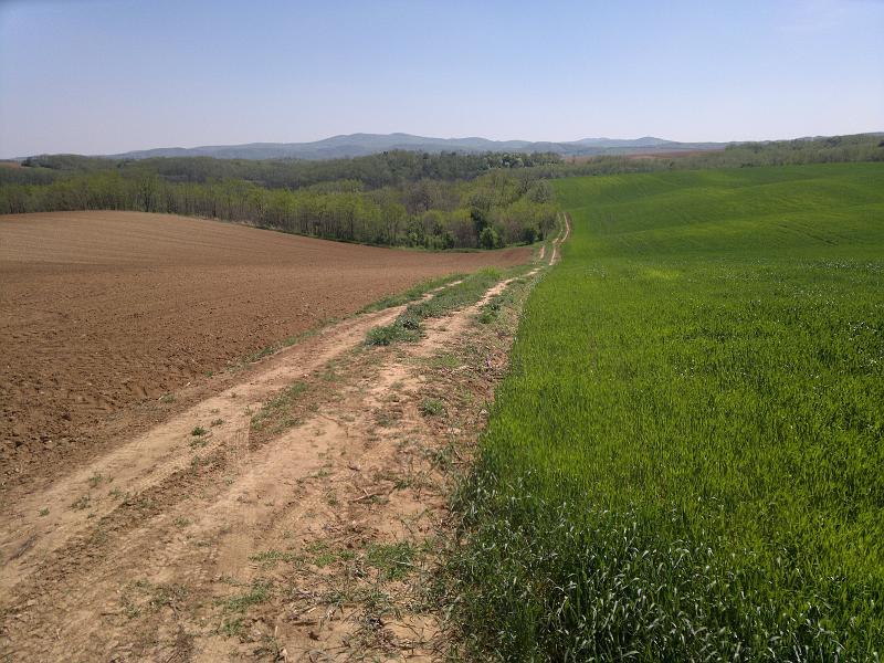 2012-04-29-929.jpg