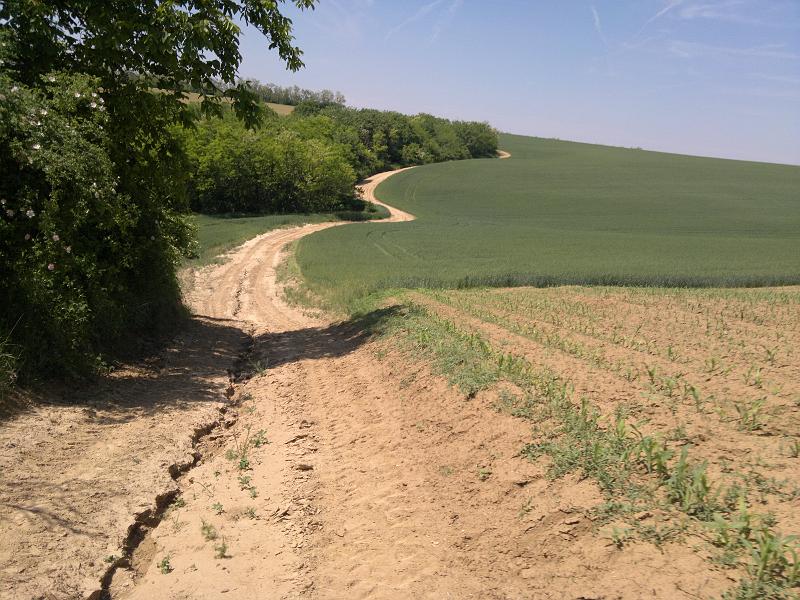 2012-05-12-1111.jpg