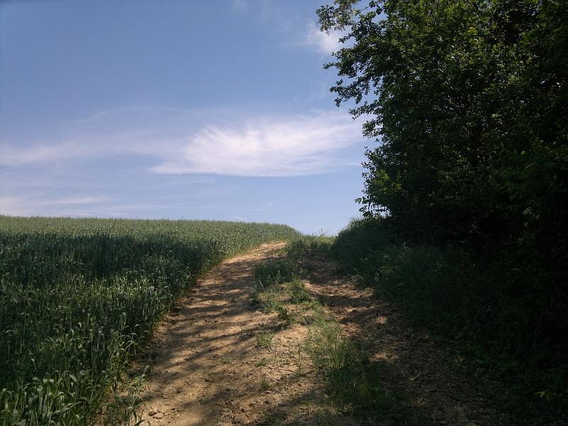 2012-05-12-1117.jpg