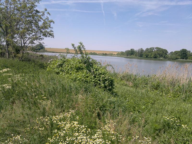2012-05-12-1135.jpg