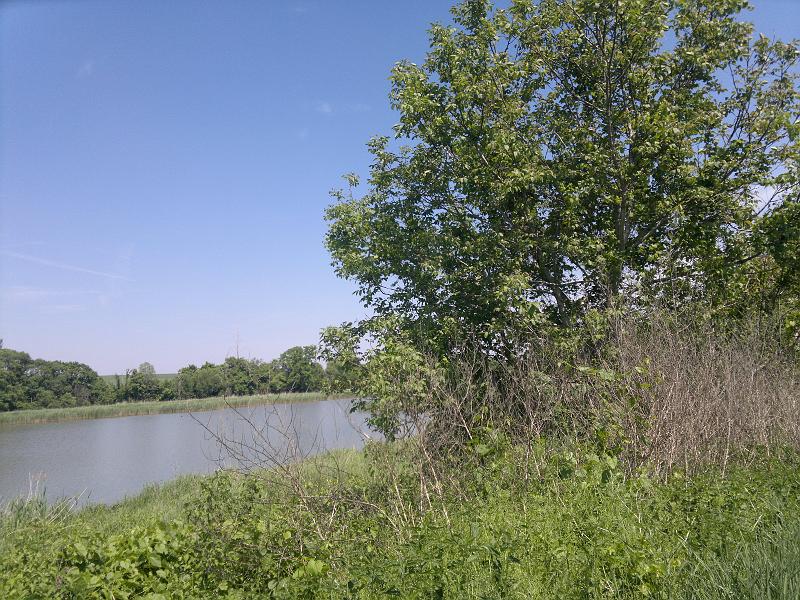 2012-05-12-1136.jpg