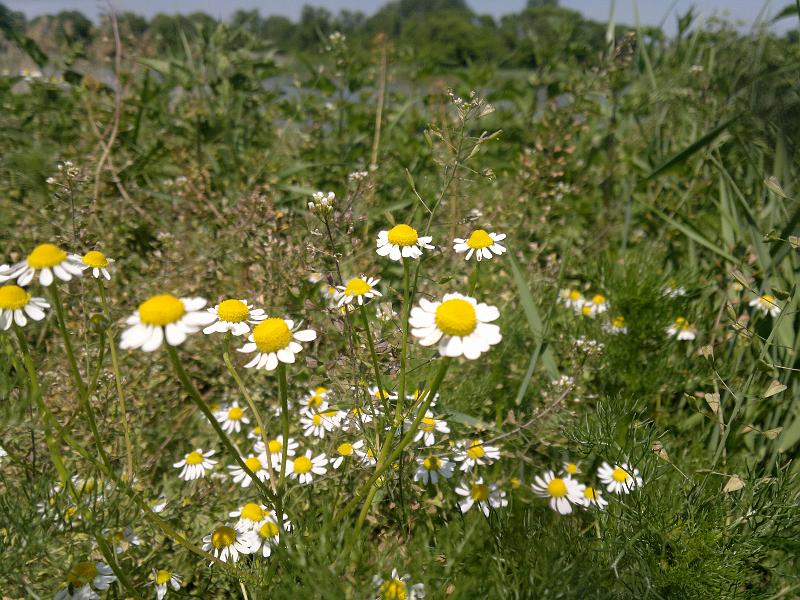 2012-05-12-1142.jpg