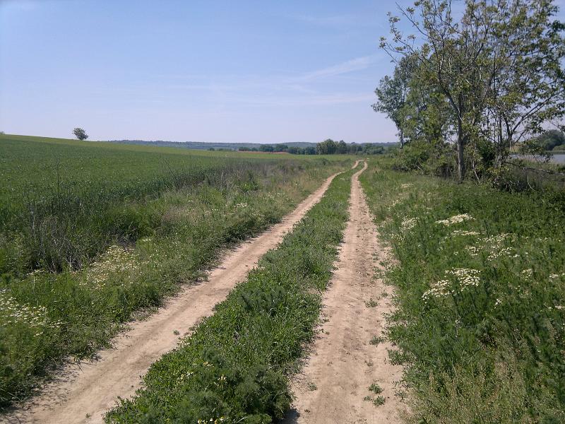 2012-05-12-1144.jpg
