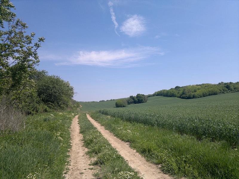 2012-05-12-1146.jpg