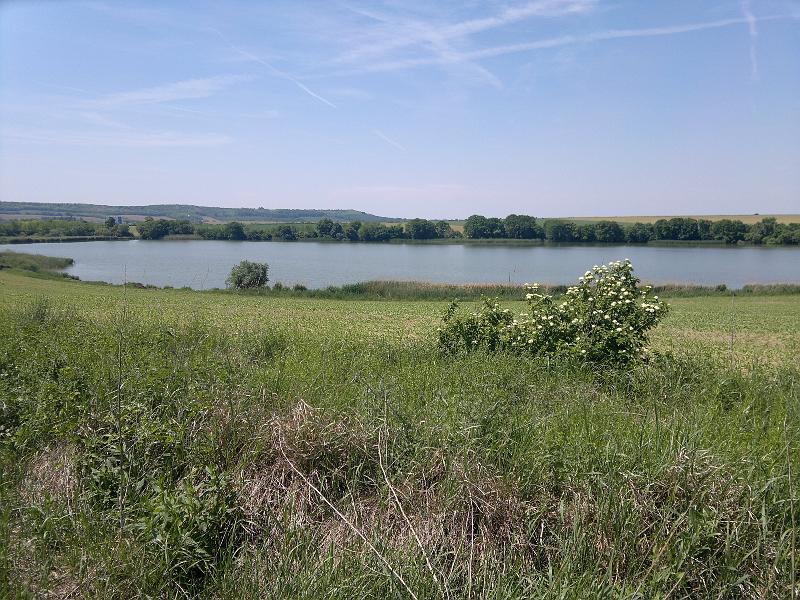 2012-05-12-1149.jpg