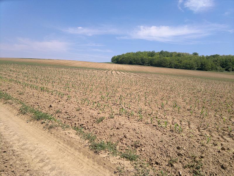2012-05-12-1151.jpg
