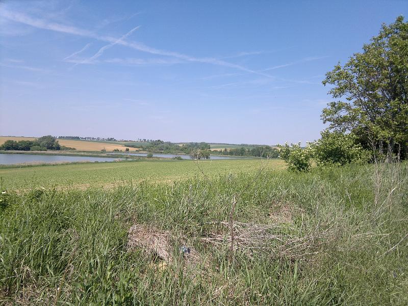 2012-05-12-1152.jpg
