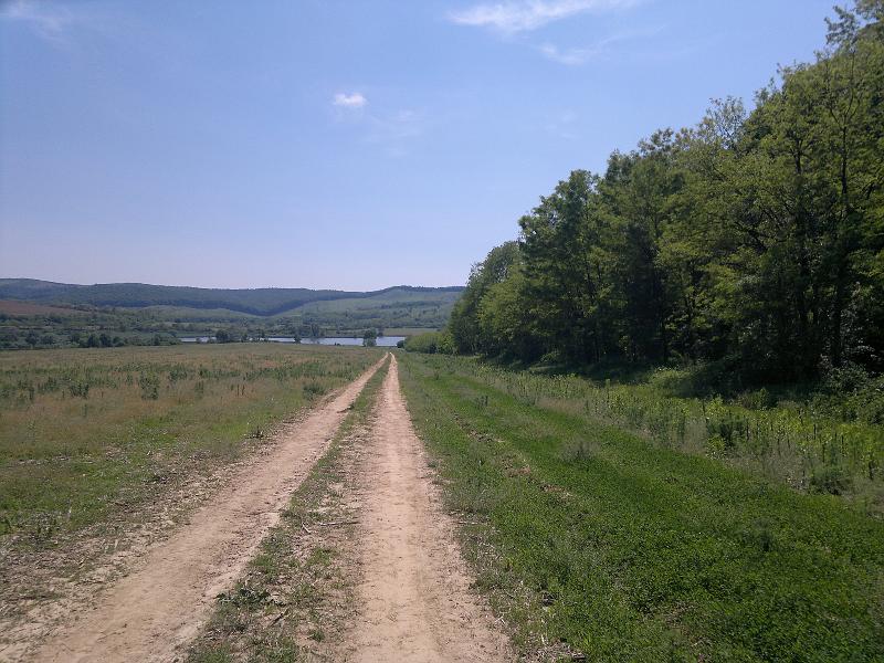 2012-05-12-1154.jpg