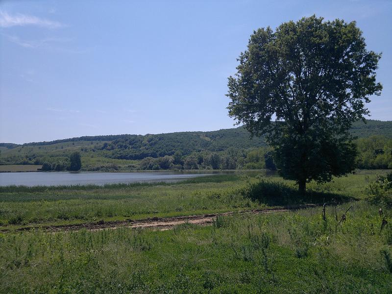2012-05-12-1159.jpg