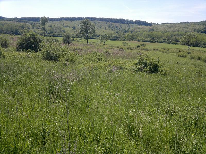 2012-05-12-1167.jpg