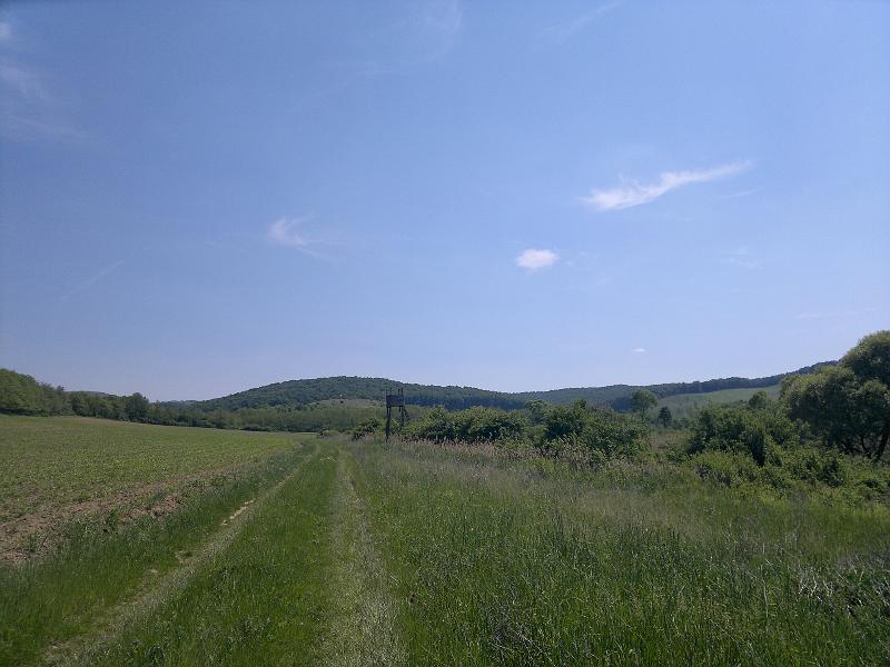 2012-05-12-1172.jpg