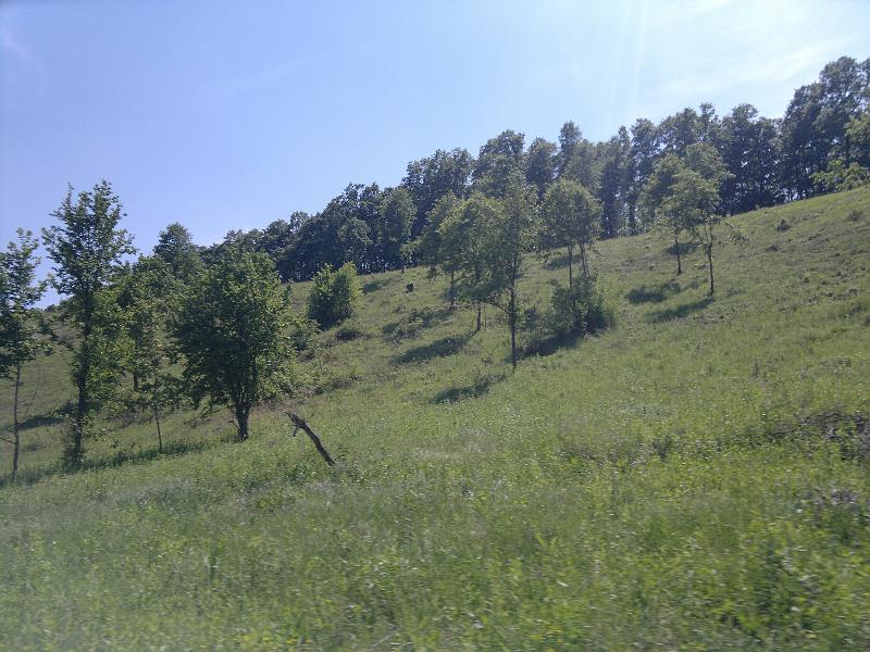 2012-05-12-1199.jpg