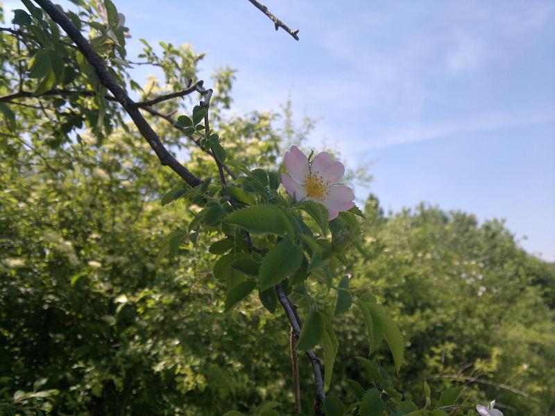 2012-05-12-1211.jpg