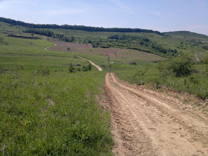 2012-05-12-1222.jpg