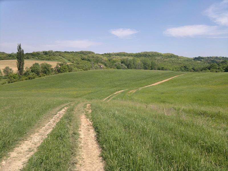 2012-05-12-1235.jpg