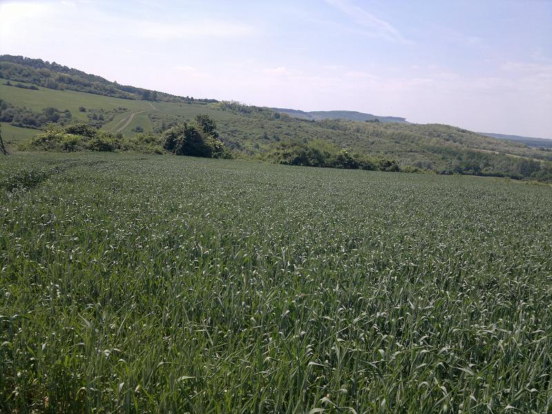 2012-05-12-1237.jpg