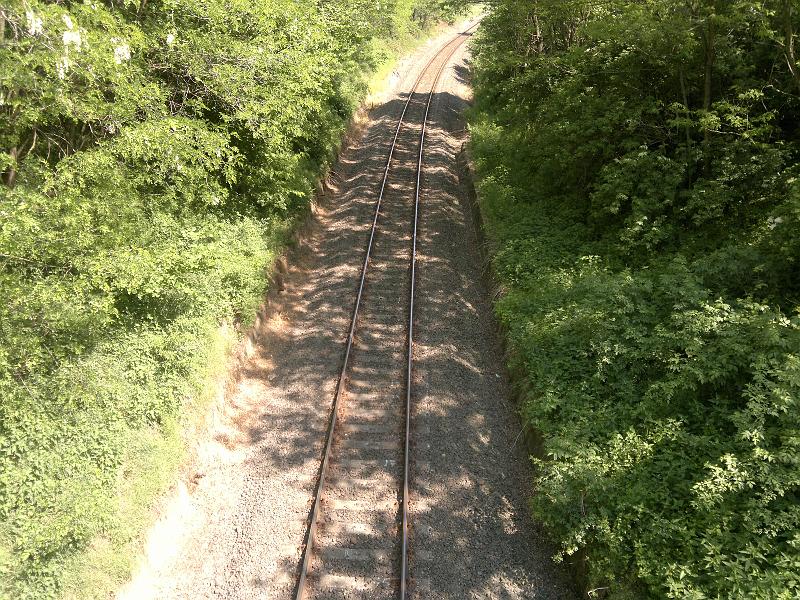2012-05-12-1240.jpg