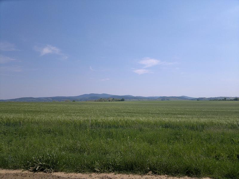 2012-05-12-1251.jpg