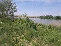 2012-05-12-1135