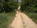 2012-05-12-1177