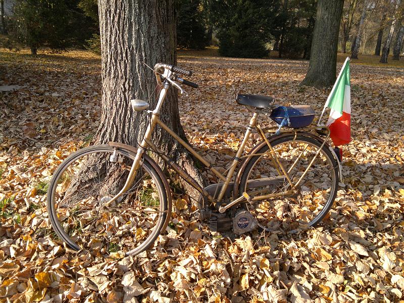 201111133570.jpg