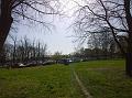 WP_20160403_10_39_17_Pro