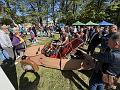 IMG_1445